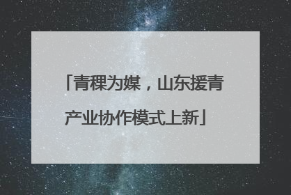 青稞为媒，山东援青产业协作模式上新