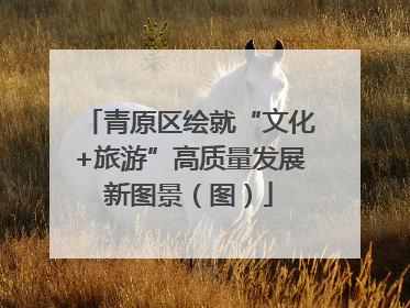 青原区绘就“文化+旅游”高质量发展新图景（图）