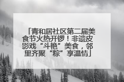 青和居社区第二届美食节火热开锣！非遗皮影戏“斗艳”美食，邻里齐聚“粽”享温情