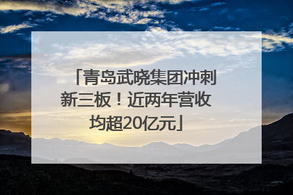 青岛武晓集团冲刺新三板！近两年营收均超20亿元
