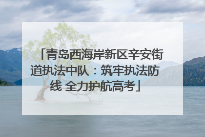青岛西海岸新区辛安街道执法中队：筑牢执法防线 全力护航高考