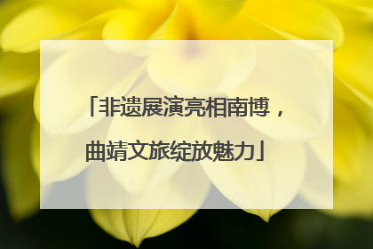非遗展演亮相南博，曲靖文旅绽放魅力