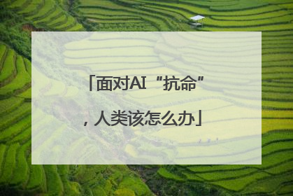 面对AI“抗命”，人类该怎么办
