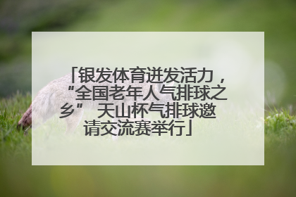 银发体育迸发活力，“全国老年人气排球之乡” 天山杯气排球邀请交流赛举行