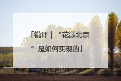 锐评｜“花漾北京”是如何实现的