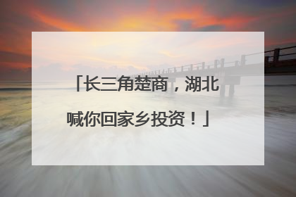 长三角楚商，湖北喊你回家乡投资！