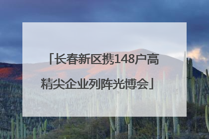 长春新区携148户高精尖企业列阵光博会