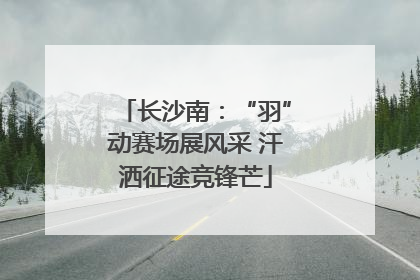 长沙南：“羽”动赛场展风采 汗洒征途竞锋芒