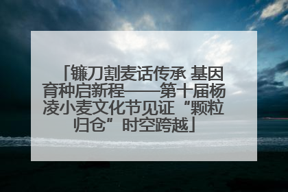 镰刀割麦话传承 基因育种启新程——第十届杨凌小麦文化节见证“颗粒归仓”时空跨越
