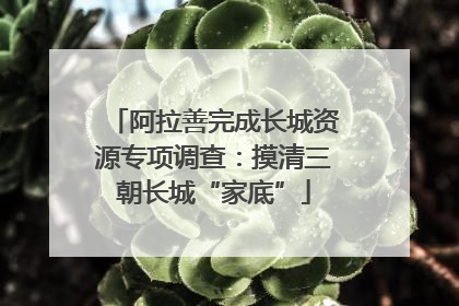 阿拉善完成长城资源专项调查：摸清三朝长城“家底”