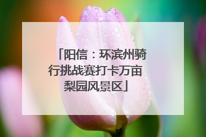 阳信：环滨州骑行挑战赛打卡万亩梨园风景区