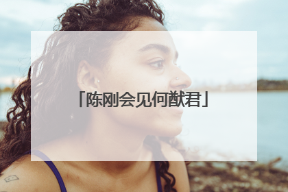 陈刚会见何猷君