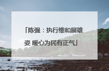 陈强：执行维和展雄姿 暖心为民有正气