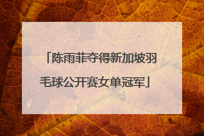 陈雨菲夺得新加坡羽毛球公开赛女单冠军