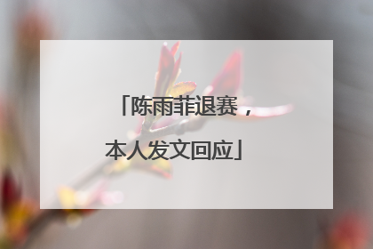 陈雨菲退赛，本人发文回应