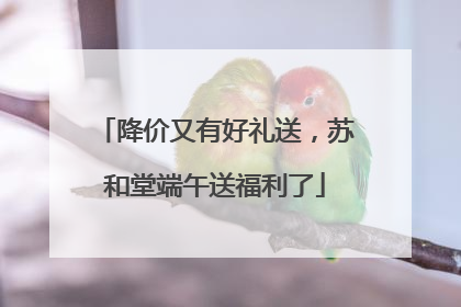 降价又有好礼送，苏和堂端午送福利了