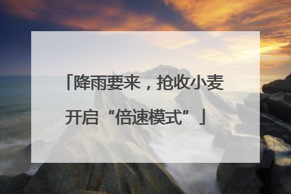 降雨要来，抢收小麦开启“倍速模式”