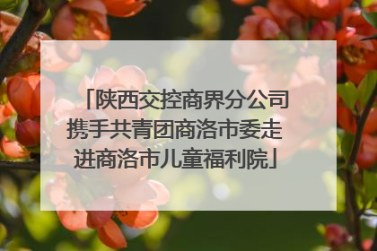 陕西交控商界分公司携手共青团商洛市委走进商洛市儿童福利院