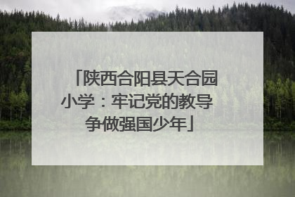 陕西合阳县天合园小学：牢记党的教导 争做强国少年
