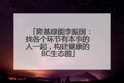 隆基绿能李振国：找各个环节有本事的人一起，构建健康的BC生态圈