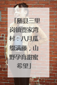 随县三里岗镇贾家湾村：八月瓜缀满藤，山野孕育甜蜜希望