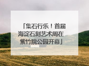 集石行乐！首届海淀石刻艺术周在紫竹院公园开幕