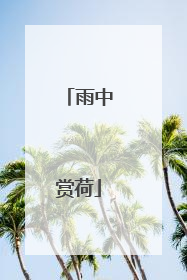 雨中赏荷