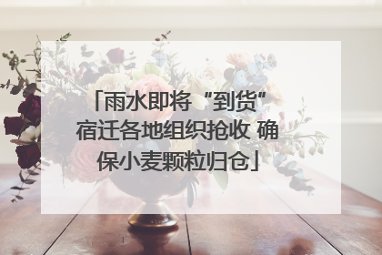 雨水即将“到货” 宿迁各地组织抢收 确保小麦颗粒归仓
