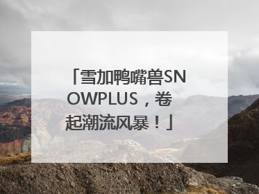 雪加鸭嘴兽SNOWPLUS，卷起潮流风暴！