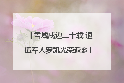雪域戍边二十载 退伍军人罗凯光荣返乡