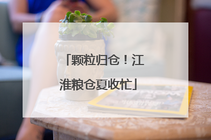 颗粒归仓！江淮粮仓夏收忙