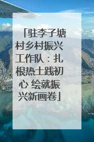 驻李子塘村乡村振兴工作队：扎根热土践初心 绘就振兴新画卷