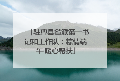 驻曹县省派第一书记和工作队：粽情端午·暖心帮扶