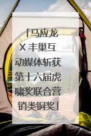 马应龙 X 丰巢互动媒体斩获第十六届虎啸奖联合营销类铜奖