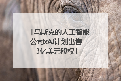 马斯克的人工智能公司xAI计划出售3亿美元股权