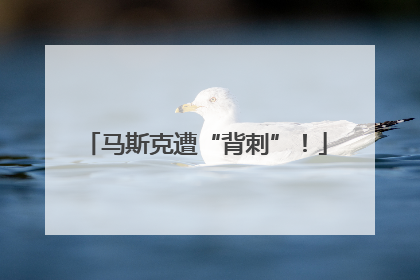 马斯克遭“背刺”！
