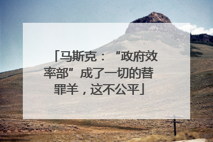 马斯克：“政府效率部”成了一切的替罪羊，这不公平