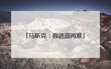 马斯克：我进退两难