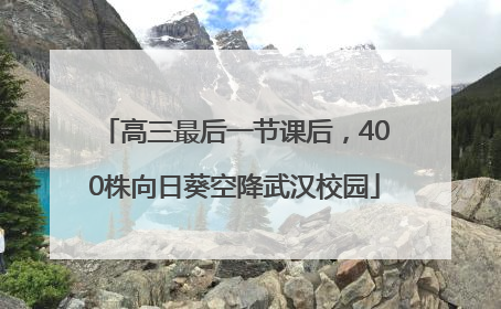 高三最后一节课后，400株向日葵空降武汉校园