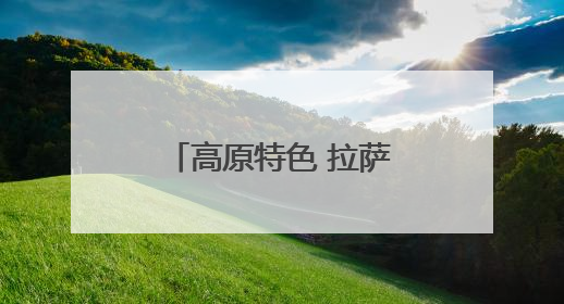 高原特色 拉萨开展“过林卡”消费满减活动