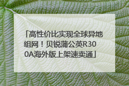 高性价比实现全球异地组网！贝锐蒲公英R300A海外版上架速卖通