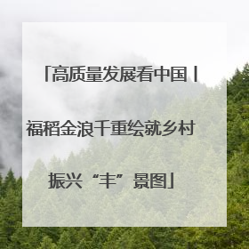 高质量发展看中国丨福稻金浪千重绘就乡村振兴“丰”景图