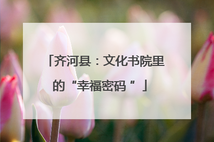齐河县：文化书院里的“幸福密码 ”