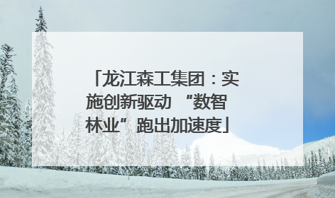 龙江森工集团：实施创新驱动 “数智林业”跑出加速度