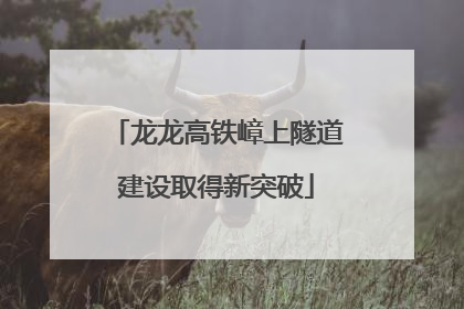 龙龙高铁嶂上隧道建设取得新突破