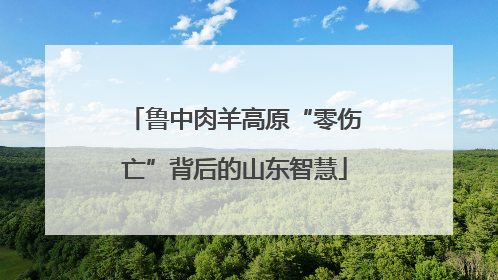 鲁中肉羊高原“零伤亡”背后的山东智慧