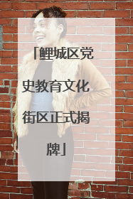 鲤城区党史教育文化街区正式揭牌