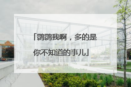 鹮鹮我啊，多的是你不知道的事儿