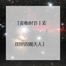麦收时节丨麦田里的观天人