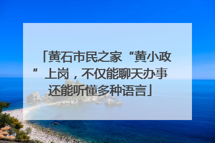 黄石市民之家“黄小政”上岗，不仅能聊天办事还能听懂多种语言